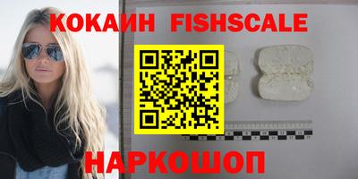 гидра Гусев